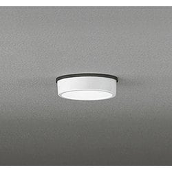 エクステリアライト/昼白色/要電気工事 OG254527R