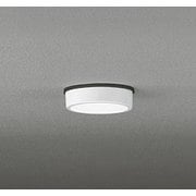 エクステリアライト/昼白色/要電気工事 OG254527R