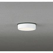 エクステリアライト/電球色/要電気工事 OG254528R