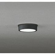 エクステリアライト/昼白色/要電気工事 OG254529R