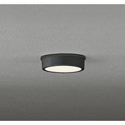 エクステリアライト/電球色/要電気工事 OG254530R