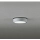 エクステリアライト/昼白色/要電気工事 OG254531R