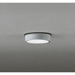 エクステリアライト/昼白色/要電気工事 OG254531R