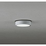 エクステリアライト/昼白色/要電気工事 OG254531R