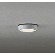 エクステリアライト/電球色/要電気工事 OG254532R