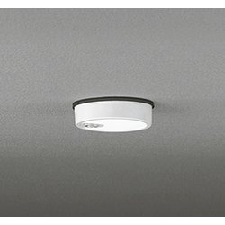 エクステリアライト/昼白色/要電気工事 OG254533R