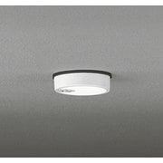 エクステリアライト/昼白色/要電気工事 OG254533R