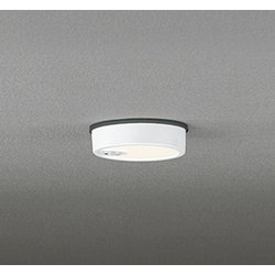 エクステリアライト/電球色/要電気工事 OG254534R