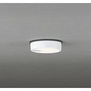 エクステリアライト/電球色/要電気工事 OG254534R