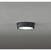 エクステリアライト/昼白色/要電気工事 OG254535R