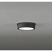 エクステリアライト/電球色/要電気工事 OG254536R