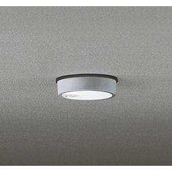 エクステリアライト/昼白色/要電気工事 OG254537R