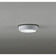 エクステリアライト/昼白色/要電気工事 OG254537R