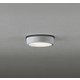 エクステリアライト/電球色/要電気工事 OG254538R