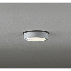 エクステリアライト/電球色/要電気工事 OG254538R