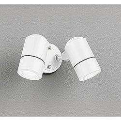 エクステリアライト/昼白色/要電気工事 OG254563NR