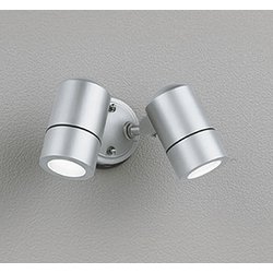 エクステリアライト/昼白色/要電気工事 OG254565NR