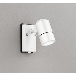 エクステリアライト/昼白色/要電気工事 OG254566NR
