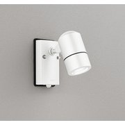 エクステリアライト/昼白色/要電気工事 OG254566NR