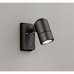 エクステリアライト/昼白色/要電気工事 OG254567NR