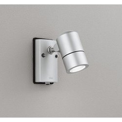 エクステリアライト/昼白色/要電気工事 OG254568NR