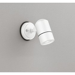 エクステリアライト/昼白色/要電気工事 OG254569NR