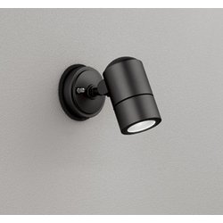 エクステリアライト/昼白色/要電気工事 OG254570NR