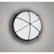 エクステリアライト/昼白色/要電気工事 OG254596NR