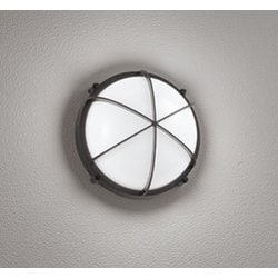 エクステリアライト/昼白色/要電気工事 OG254597NR
