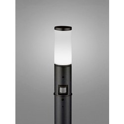 エクステリアライト/昼白色/要電気工事 OG254655NCR