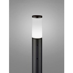 エクステリアライト/昼白色/要電気工事 OG254657NR