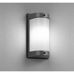 エクステリアライト/昼白色/要電気工事 OG254695NR