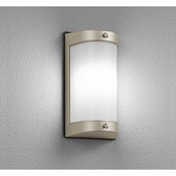 エクステリアライト/昼白色/要電気工事 OG254696NR
