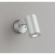エクステリアライト/昼白色/要電気工事 OG254701P1
