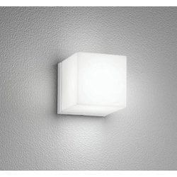 エクステリアライト/昼白色/要電気工事 OG254798NR
