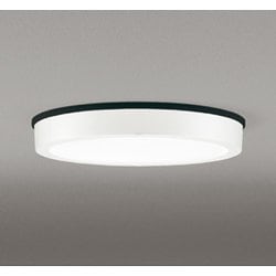 エクステリアライト/昼白色/要電気工事 OG254807R