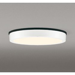 エクステリアライト/電球色/要電気工事 OG254808R