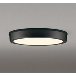 エクステリアライト/電球色/要電気工事 OG254810R