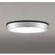 エクステリアライト/昼白色/要電気工事 OG254811R