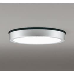 エクステリアライト/昼白色/要電気工事 OG254811R