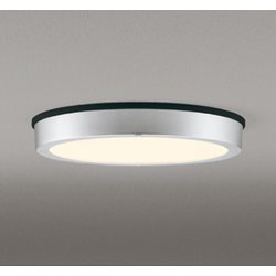 エクステリアライト/電球色/要電気工事 OG254812R