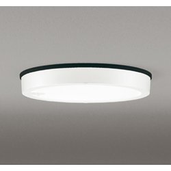 エクステリアライト/昼白色/要電気工事 OG254813R