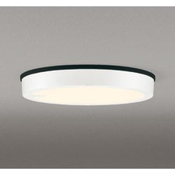 エクステリアライト/電球色/要電気工事 OG254814R