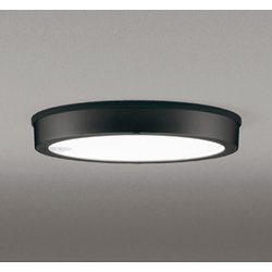 エクステリアライト/昼白色/要電気工事 OG254815R