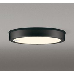 エクステリアライト/電球色/要電気工事 OG254816R