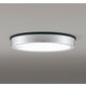 エクステリアライト/昼白色/要電気工事 OG254817R