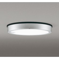 エクステリアライト/昼白色/要電気工事 OG254817R