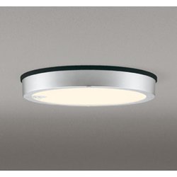 エクステリアライト/電球色/要電気工事 OG254818R