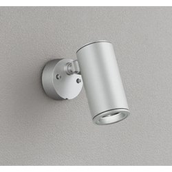 エクステリアライト/昼白色/要電気工事 OG254851P1