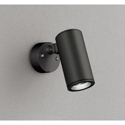 エクステリアライト/昼白色/要電気工事 OG254853P1